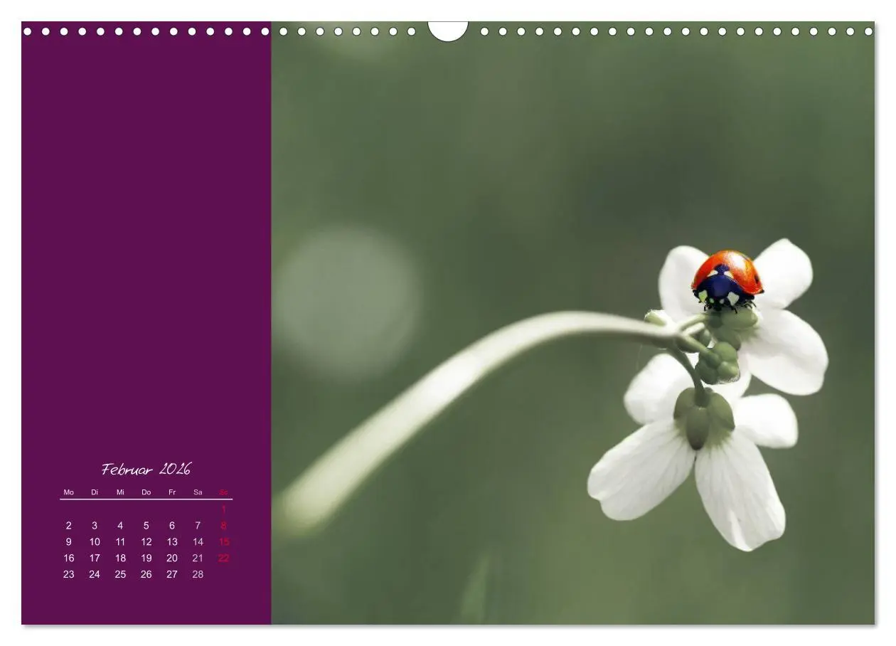 Bild: 9783516227956 | Momente des Glücks (Wandkalender 2026 DIN A3 quer), CALVENDO...