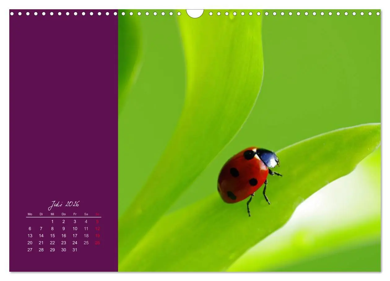Bild: 9783516227956 | Momente des Glücks (Wandkalender 2026 DIN A3 quer), CALVENDO...