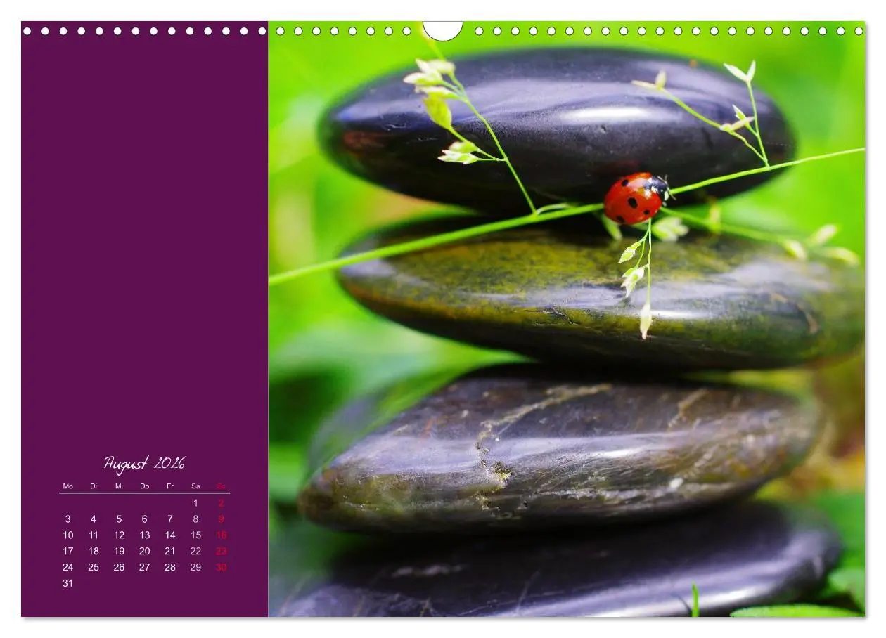 Bild: 9783516227956 | Momente des Glücks (Wandkalender 2026 DIN A3 quer), CALVENDO...