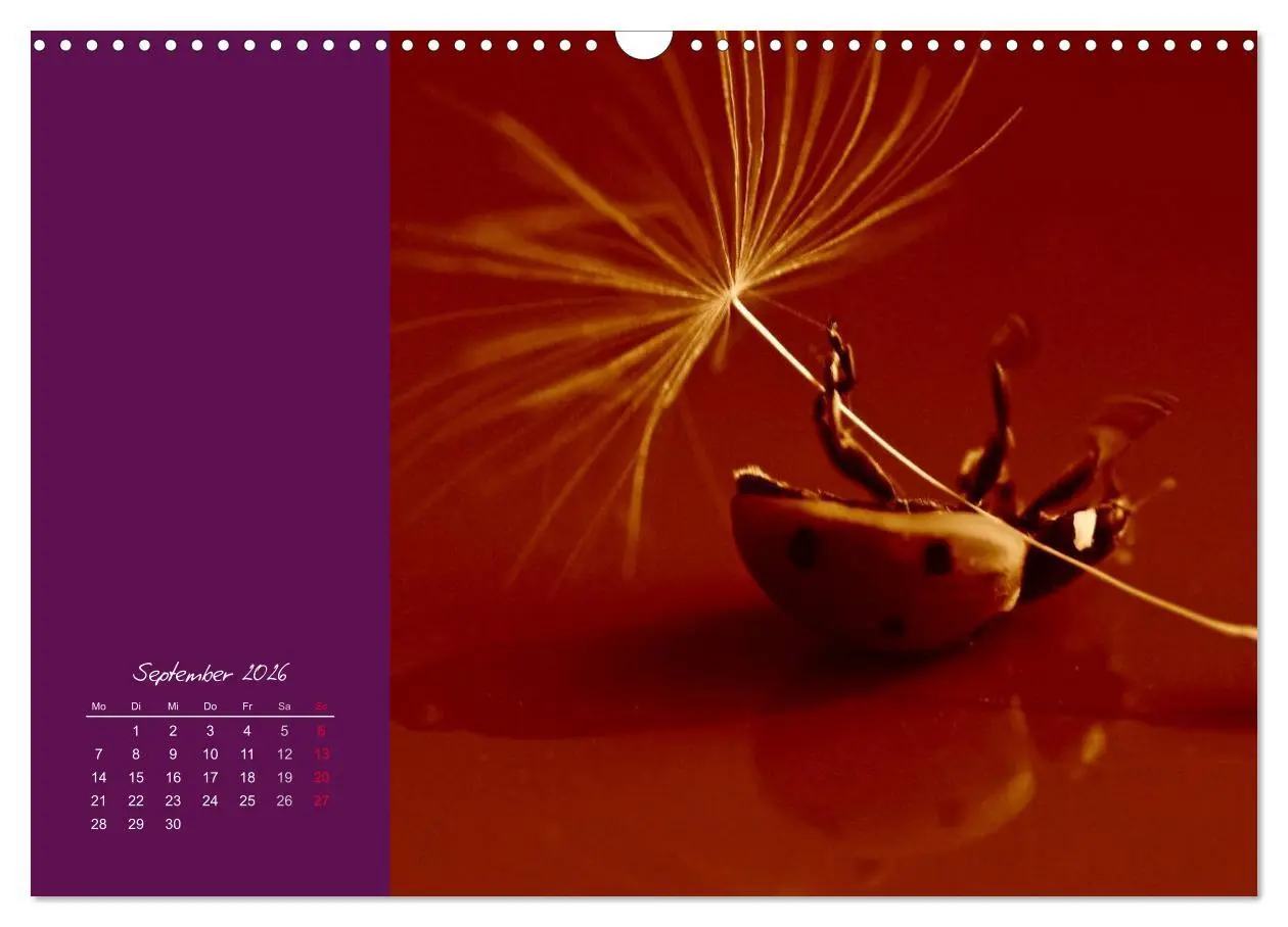Bild: 9783516227956 | Momente des Glücks (Wandkalender 2026 DIN A3 quer), CALVENDO...