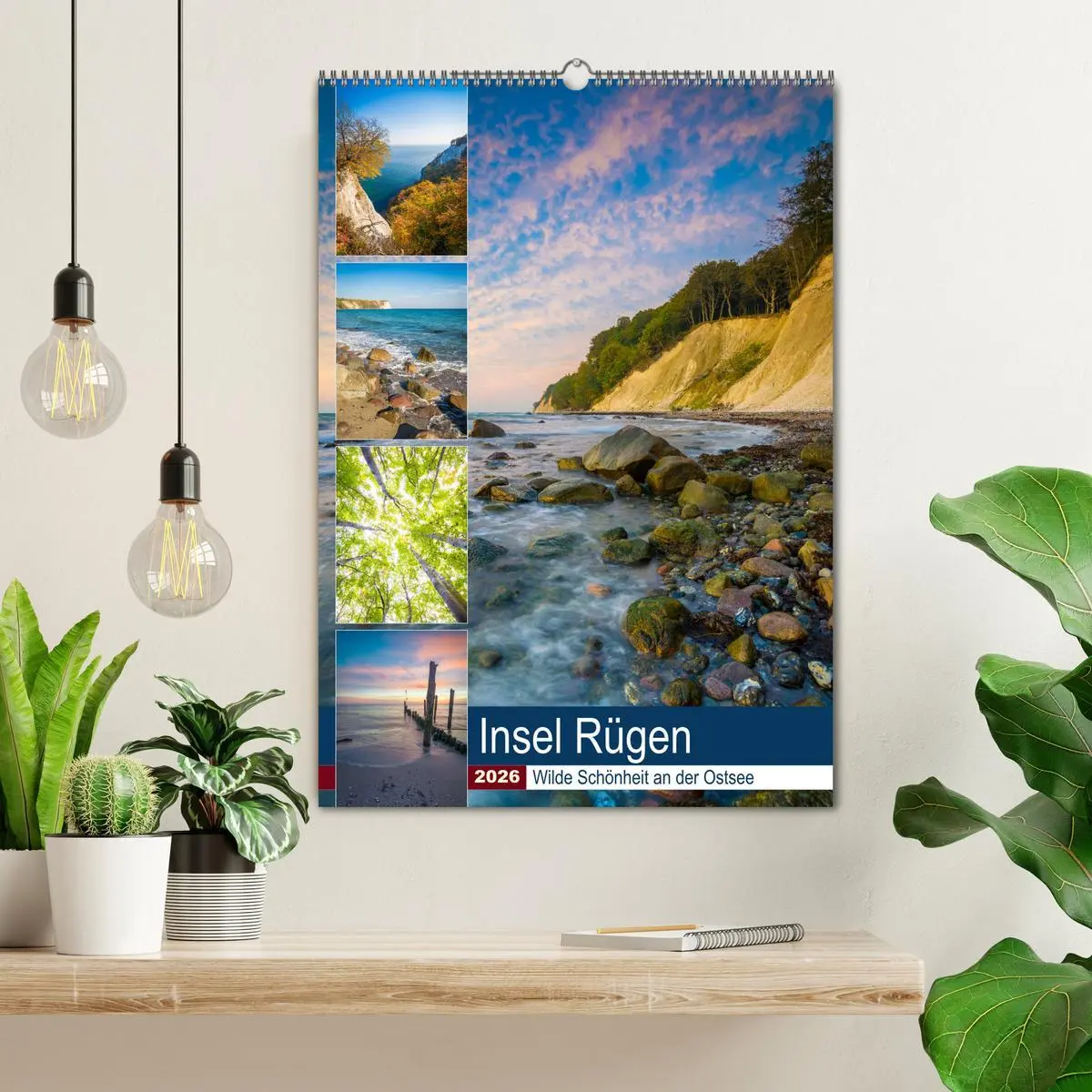 Bild: 9783516397956 | Insel Rügen - Wilde Schönheit an der Ostsee (Wandkalender 2026 DIN...
