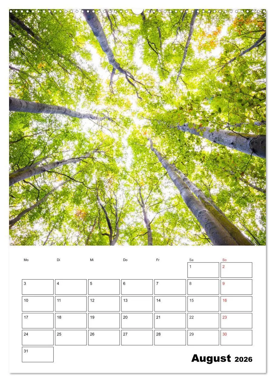 Bild: 9783516397956 | Insel Rügen - Wilde Schönheit an der Ostsee (Wandkalender 2026 DIN...