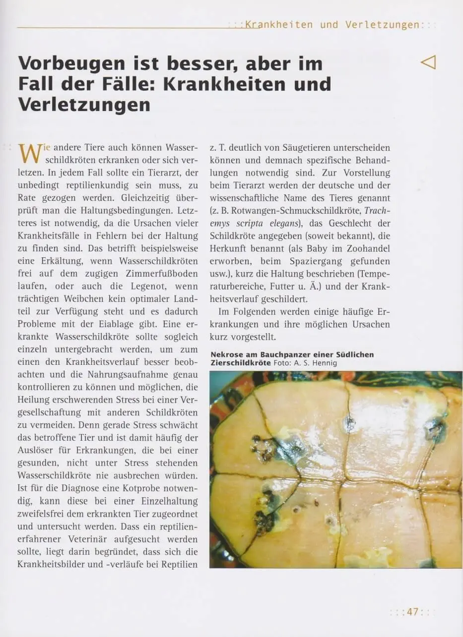 Bild: 9783931587956 | Haltung von Wasserschildkröten | Andreas S. Hennig | Taschenbuch