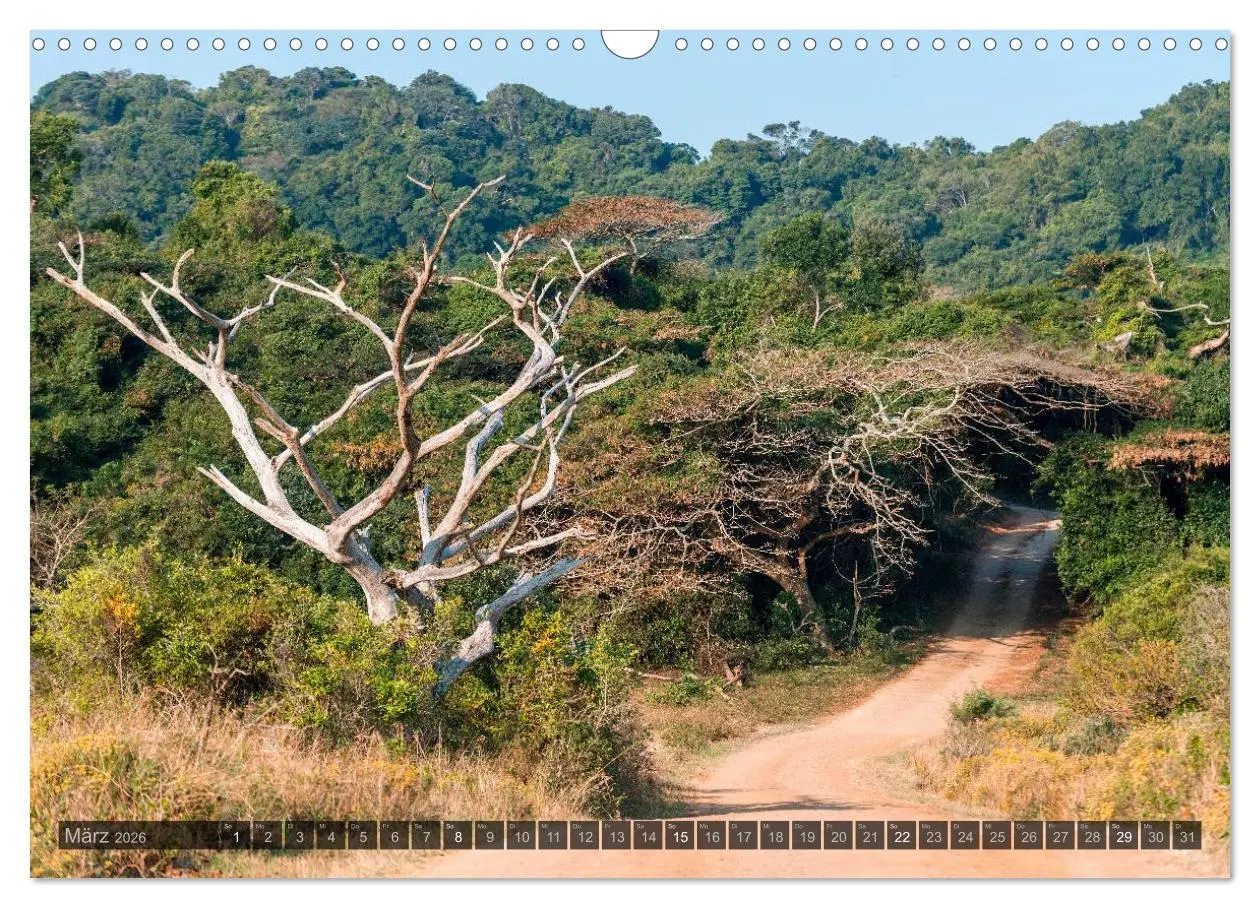 Bild: 9783516118056 | Südafrika - Die Landschaft (Wandkalender 2026 DIN A3 quer),...