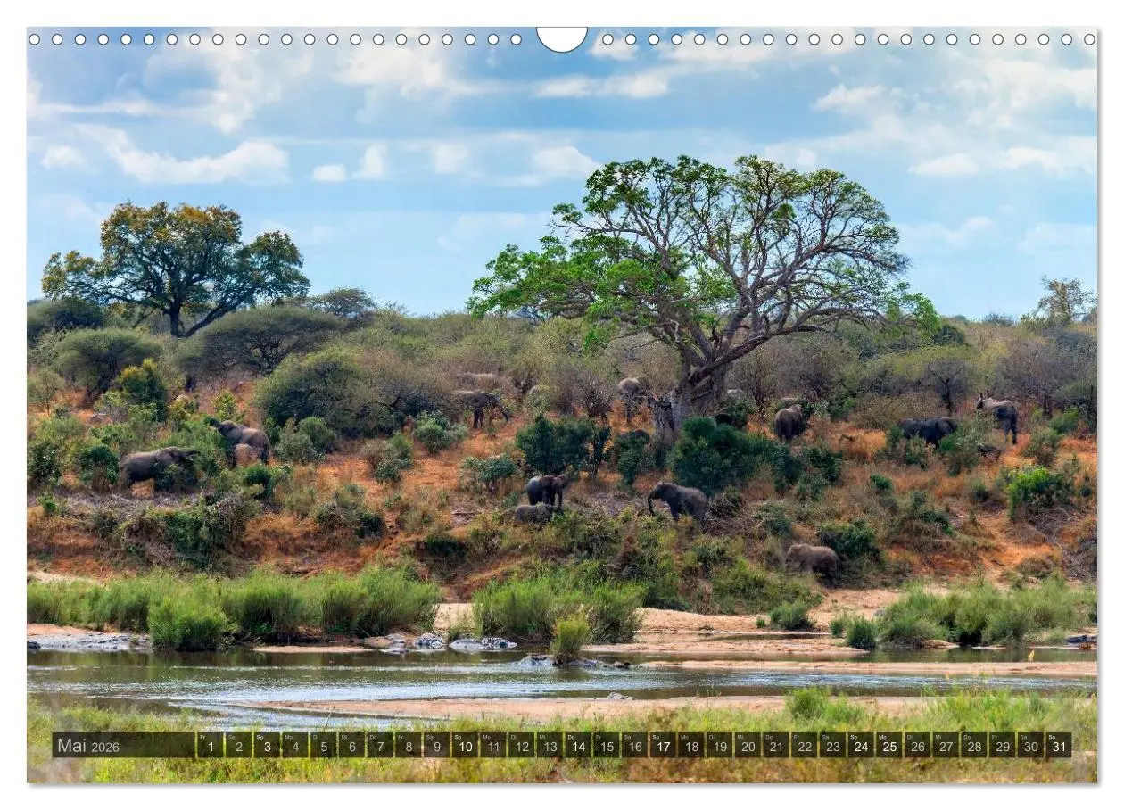 Bild: 9783516118056 | Südafrika - Die Landschaft (Wandkalender 2026 DIN A3 quer),...