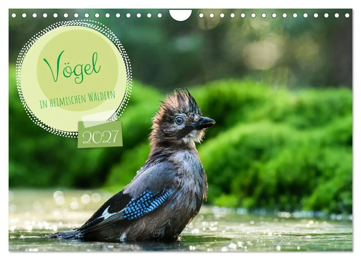 Cover: 9783569208056 | Vögel in heimischen Wäldern (Wandkalender 2027 DIN A4 quer),...