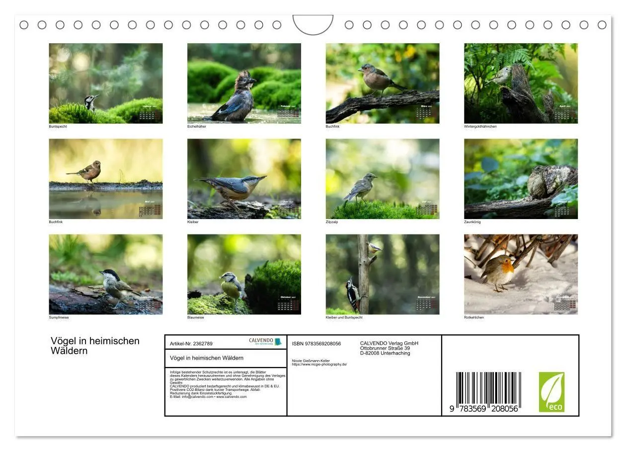 Bild: 9783569208056 | Vögel in heimischen Wäldern (Wandkalender 2027 DIN A4 quer),...