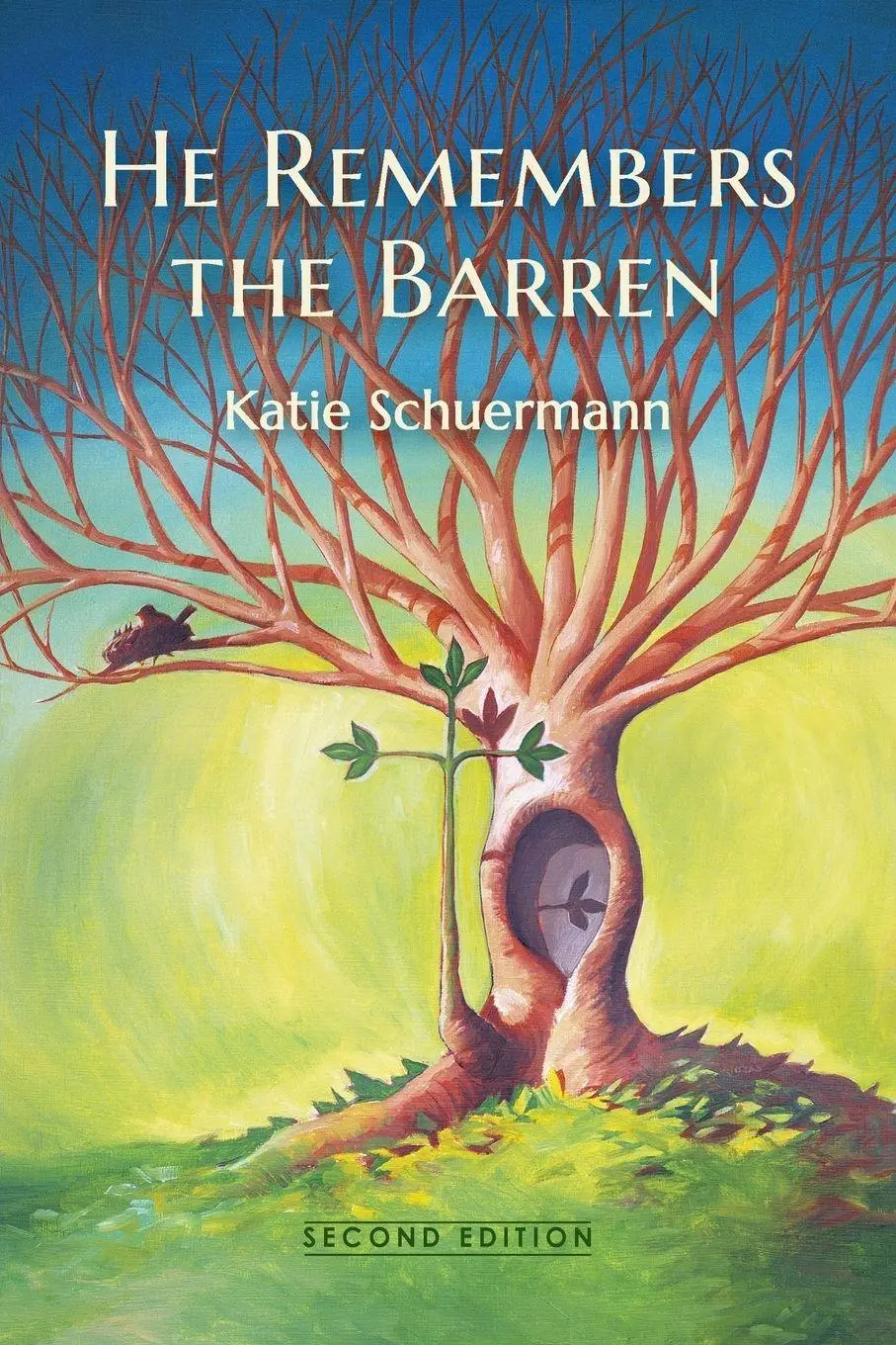 Cover: 9781934328156 | He Remembers the Barren | Second Edition | Katie Schuermann | Buch