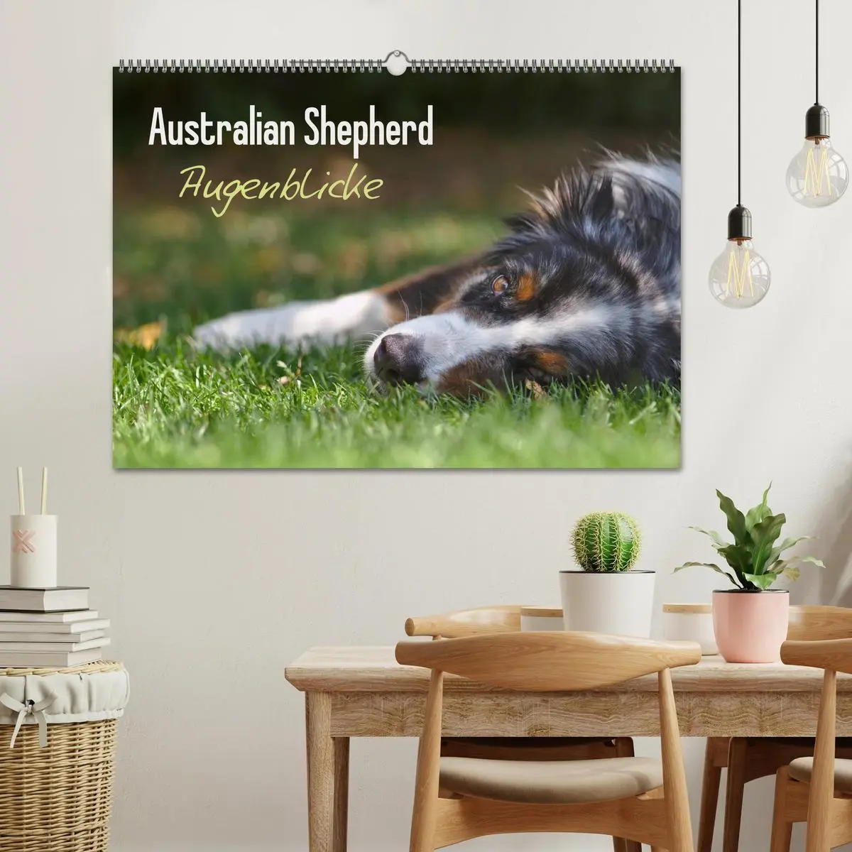 Bild: 9783516038156 | Australian Shepherd - Augenblicke (Wandkalender 2026 DIN A2 quer),...