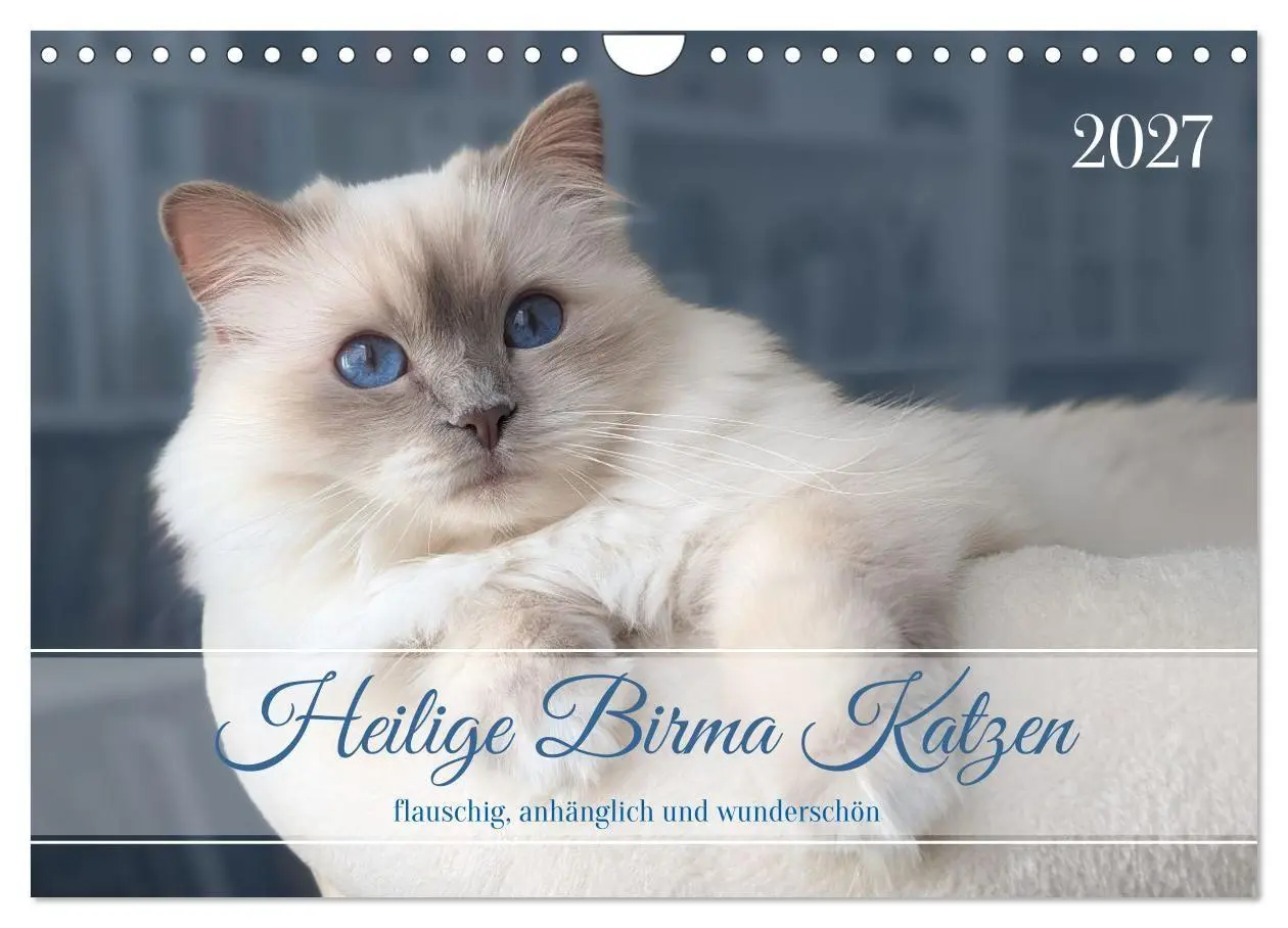Cover: 9783569128156 | Heilige Birma Katzen - flauschig, anhänglich und wunderschön...