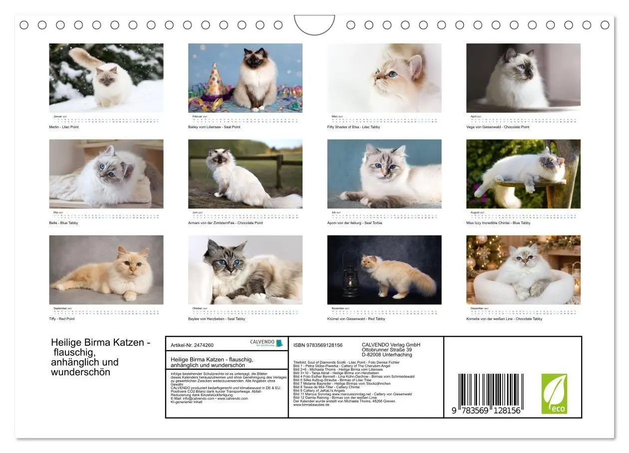 Bild: 9783569128156 | Heilige Birma Katzen - flauschig, anhänglich und wunderschön...