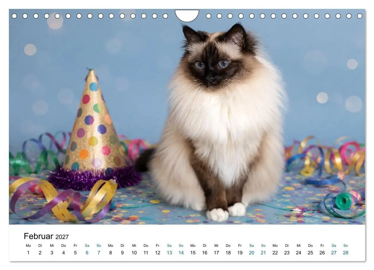 Bild: 9783569128156 | Heilige Birma Katzen - flauschig, anhänglich und wunderschön...