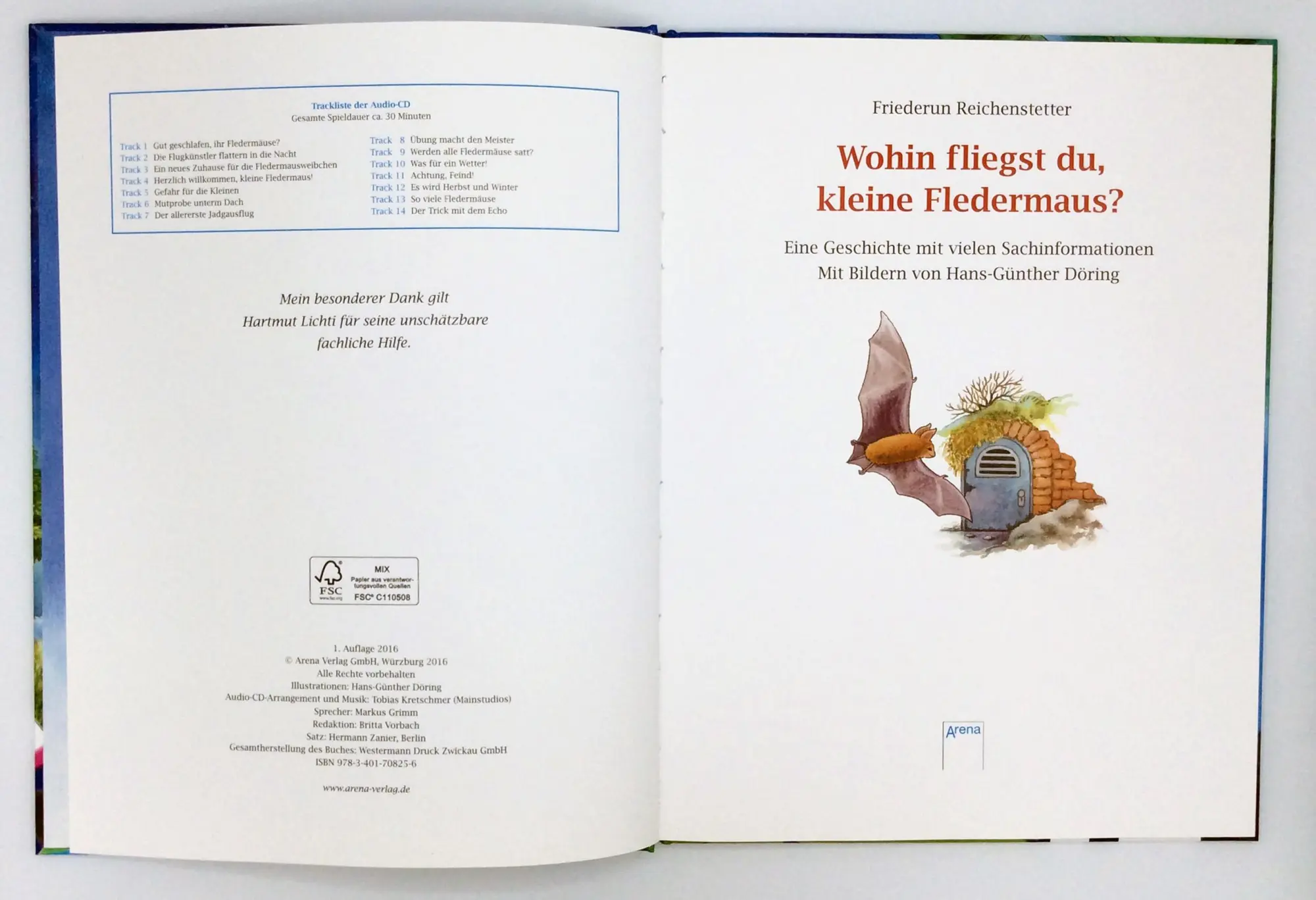Bild: 9783401708256 | Wohin fliegst du, kleine Fledermaus? | Friederun Reichenstetter | Buch