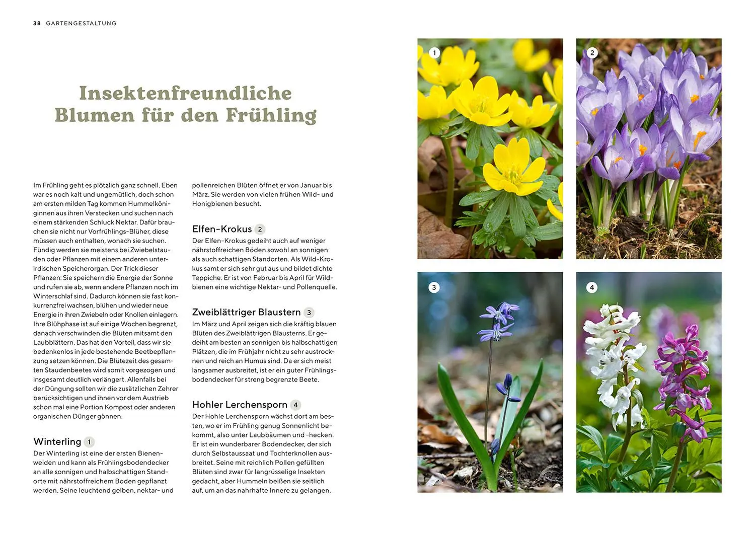 Bild: 9783440178256 | Mein Insektenparadies | Mareike Fedders | Taschenbuch | 96 S. | 2025