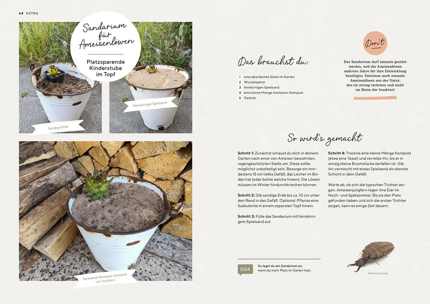 Bild: 9783440178256 | Mein Insektenparadies | Mareike Fedders | Taschenbuch | 96 S. | 2025