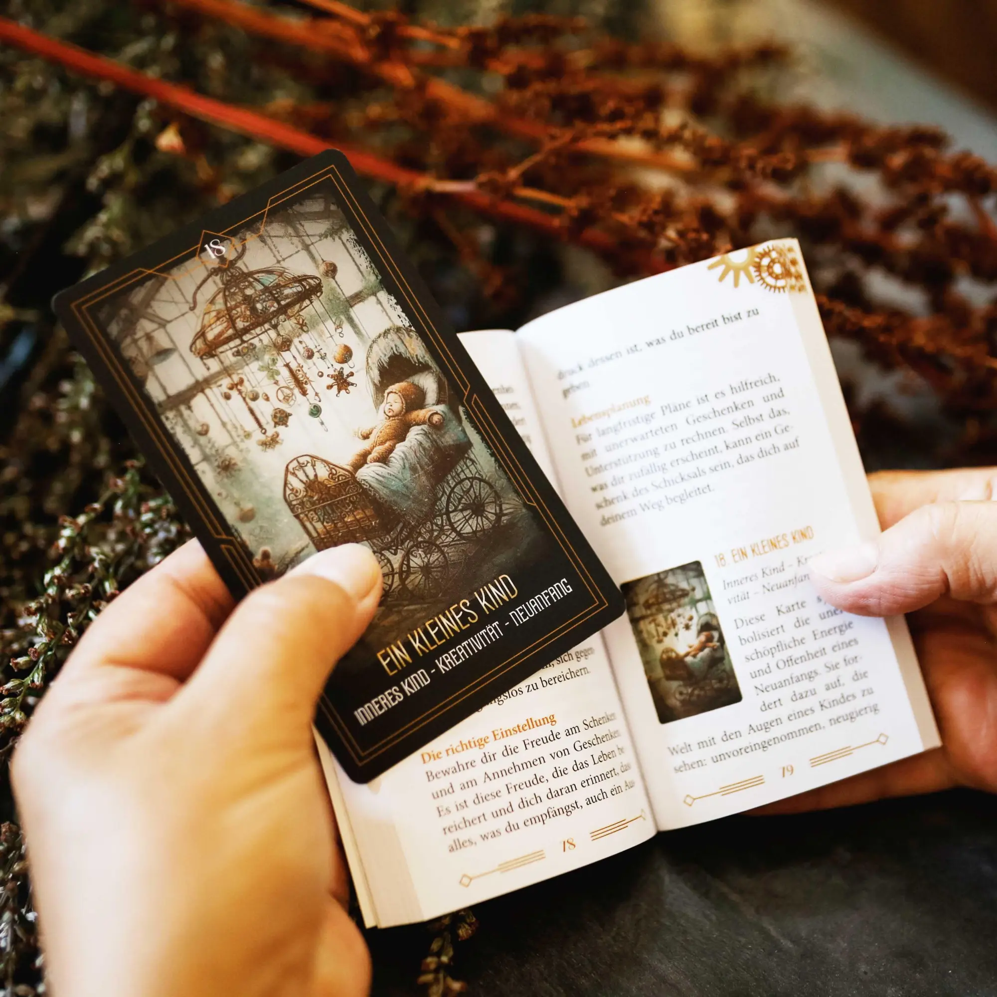 Bild: 9783868268256 | Steampunk Kipper - 36 Kipperkarten und 144-seitiges Booklet...