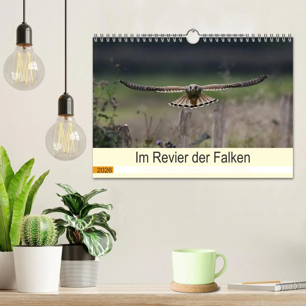 Bild: 9783457618356 | Im Revier der Falken (Wandkalender 2026 DIN A4 quer), CALVENDO...