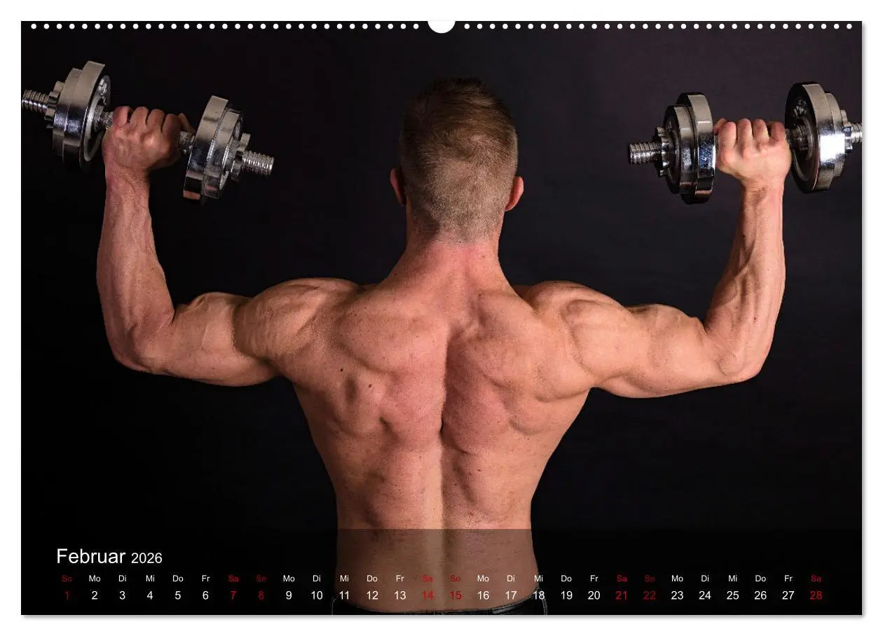 Bild: 9783457608456 | Kraftsport (Wandkalender 2026 DIN A2 quer), CALVENDO Monatskalender