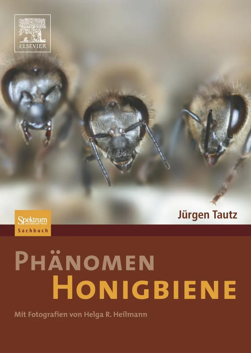 Cover: 9783827418456 | Phänomen Honigbiene | Jürgen Tautz | Buch | X | Deutsch | 2012 Cover: 9783827418456 | Phänomen Honigbiene | Jürgen Tautz | Buch | X | Deutsch | 2012