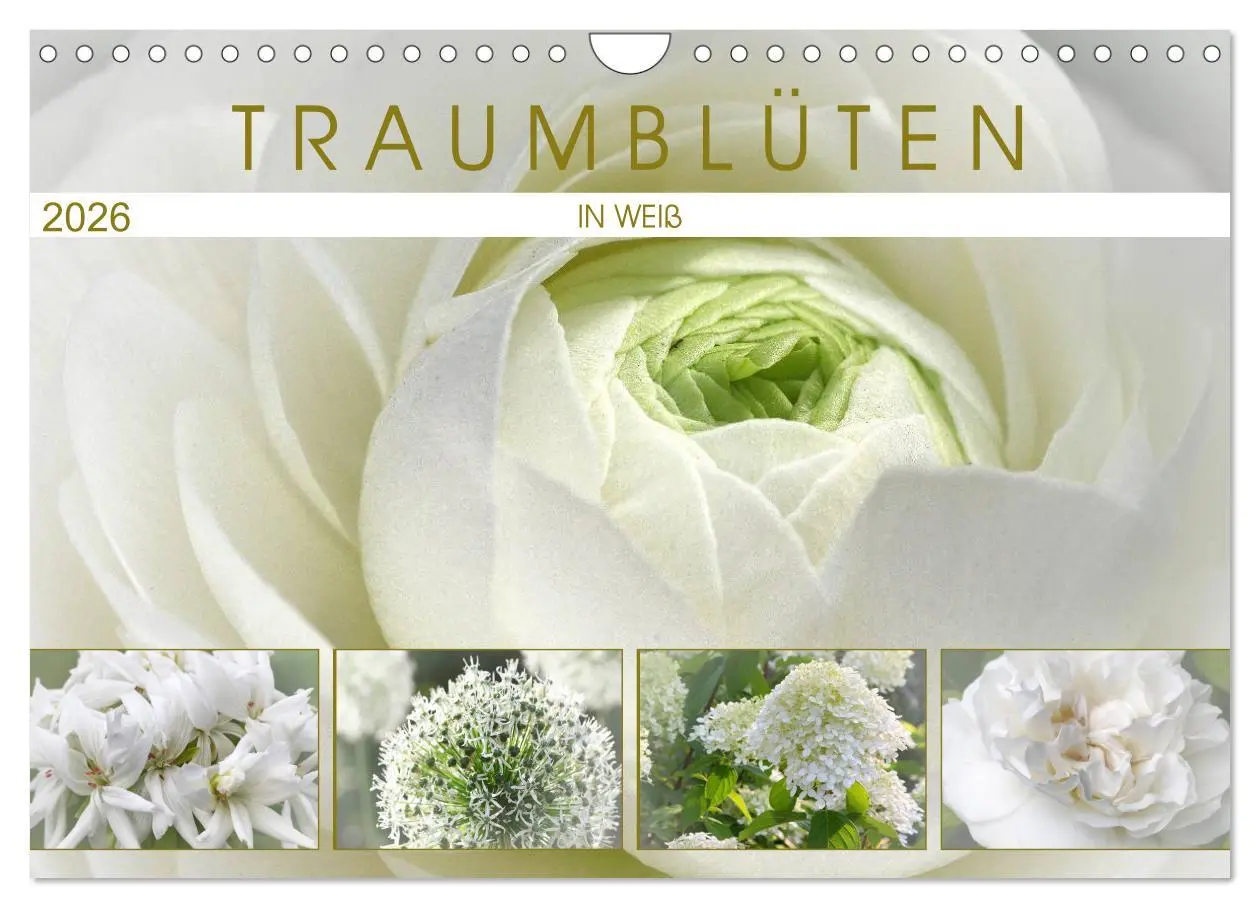 Cover: 9783457908556 | Traumblüten in Weiß (Wandkalender 2026 DIN A4 quer), CALVENDO...