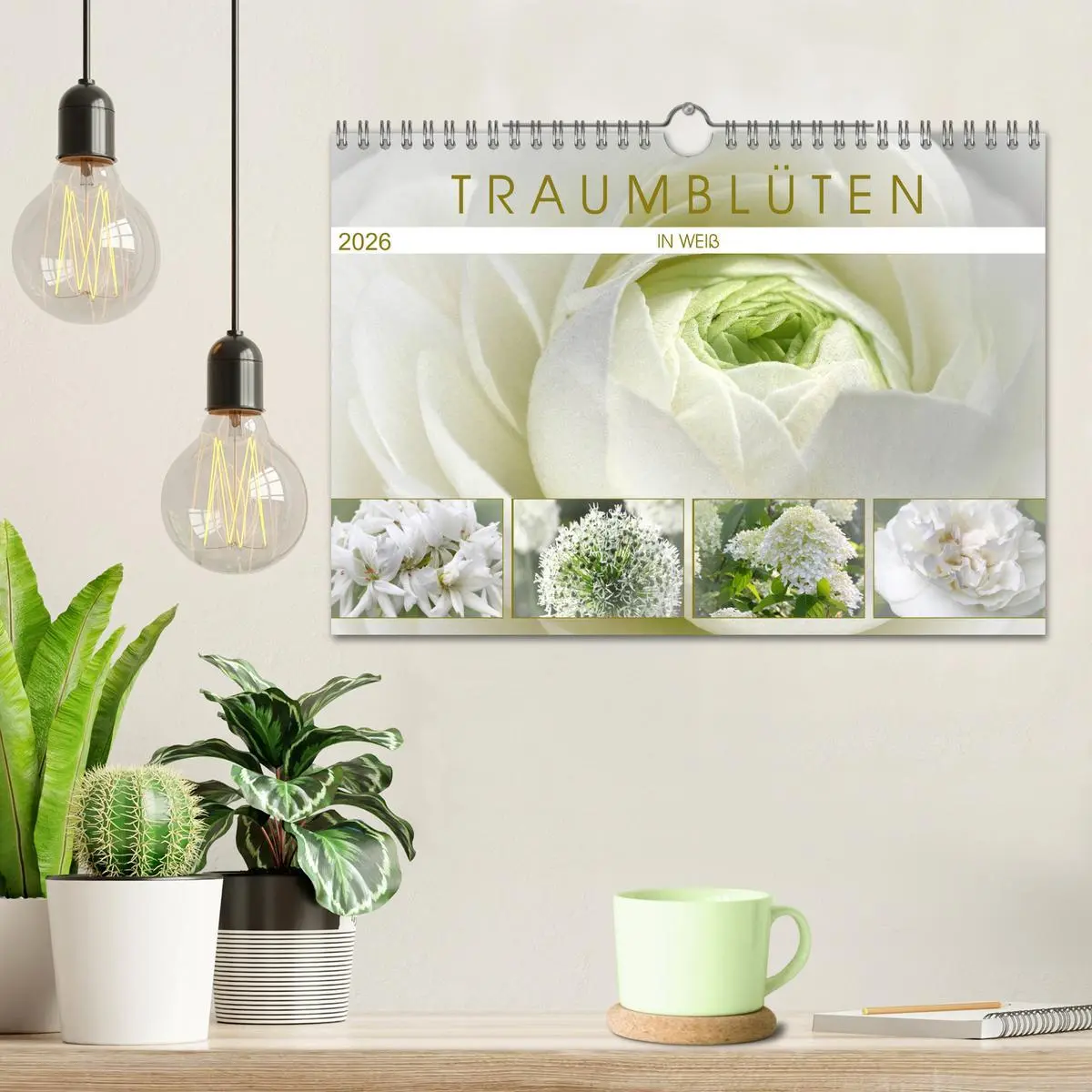 Bild: 9783457908556 | Traumblüten in Weiß (Wandkalender 2026 DIN A4 quer), CALVENDO...