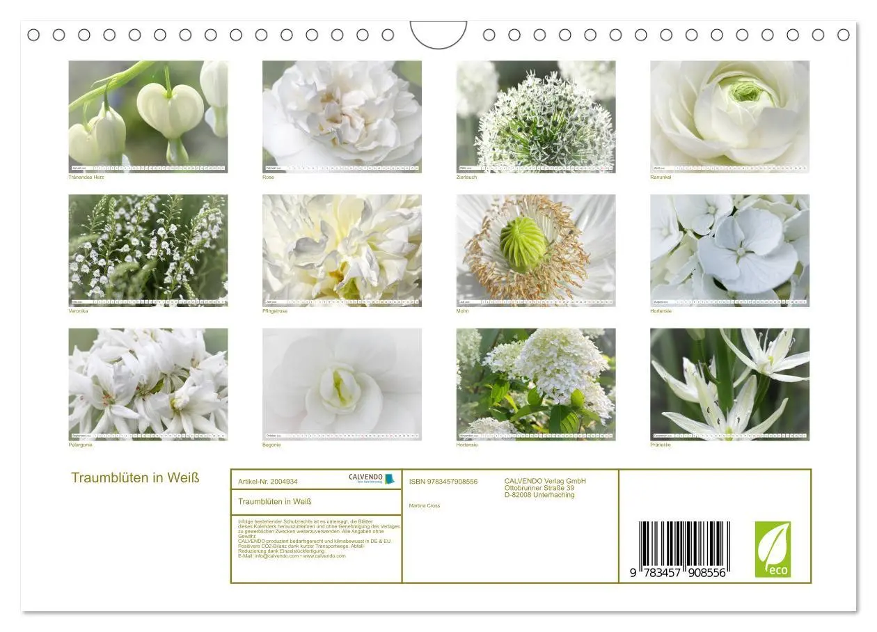 Bild: 9783457908556 | Traumblüten in Weiß (Wandkalender 2026 DIN A4 quer), CALVENDO...