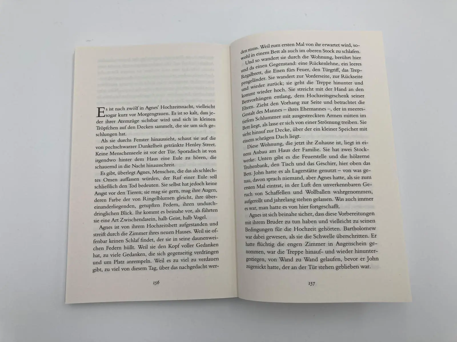Bild: 9783492318556 | Judith und Hamnet | Maggie O'Farrell | Taschenbuch | 416 S. | Deutsch