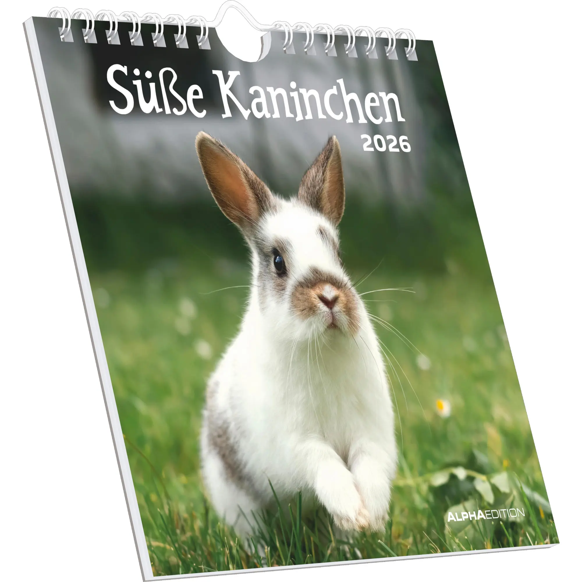 Cover: 4069095008656 | Süße Kaninchen 2026 - Postkartenkalender 16x17 cm | Kalender | 26 S.