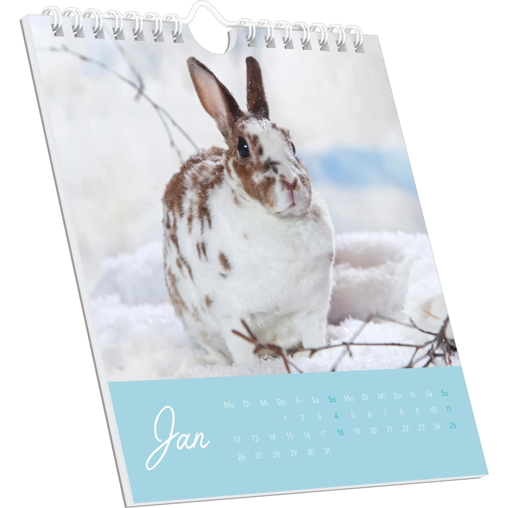 Bild: 4069095008656 | Süße Kaninchen 2026 - Postkartenkalender 16x17 cm | Kalender | 26 S.