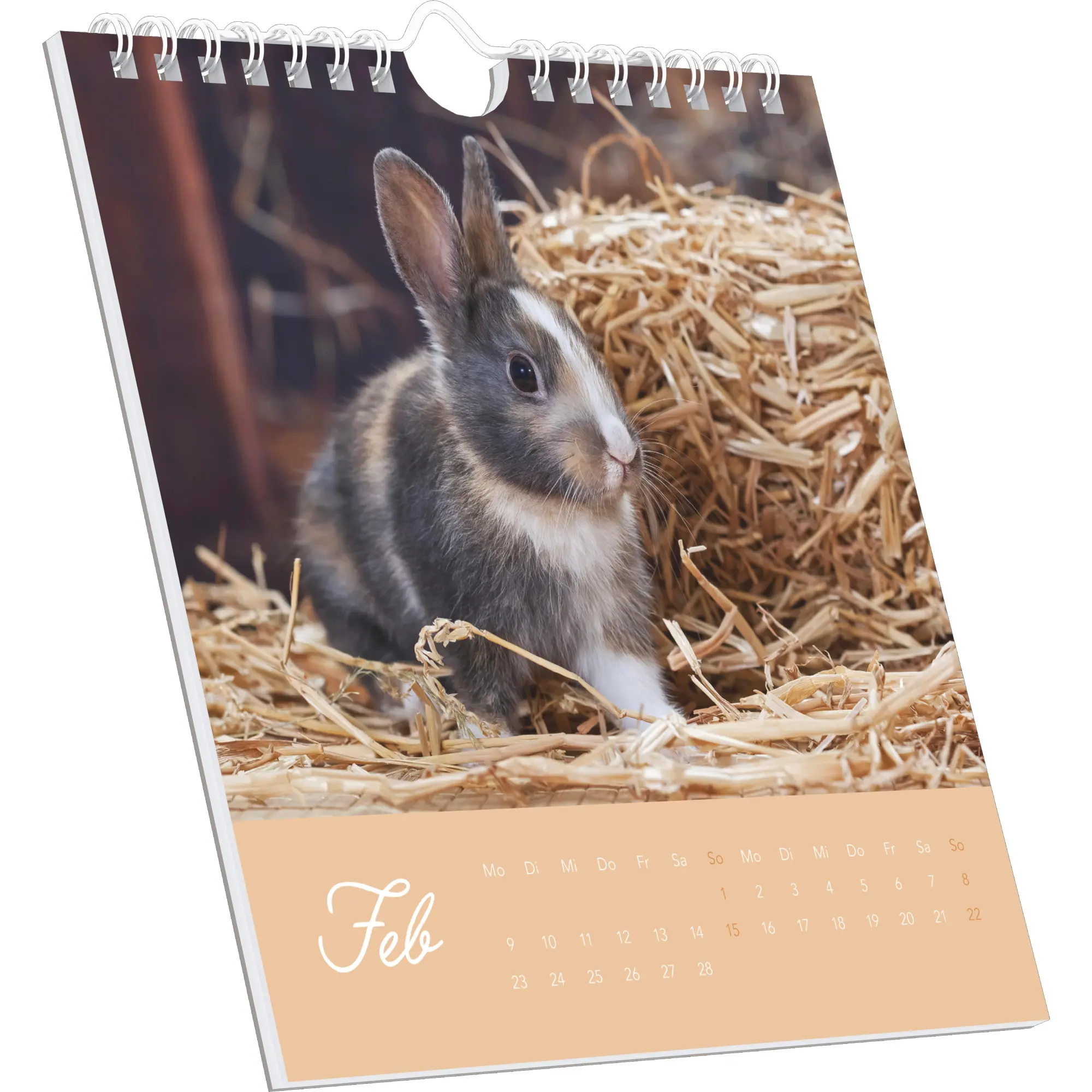 Bild: 4069095008656 | Süße Kaninchen 2026 - Postkartenkalender 16x17 cm | Kalender | 26 S.