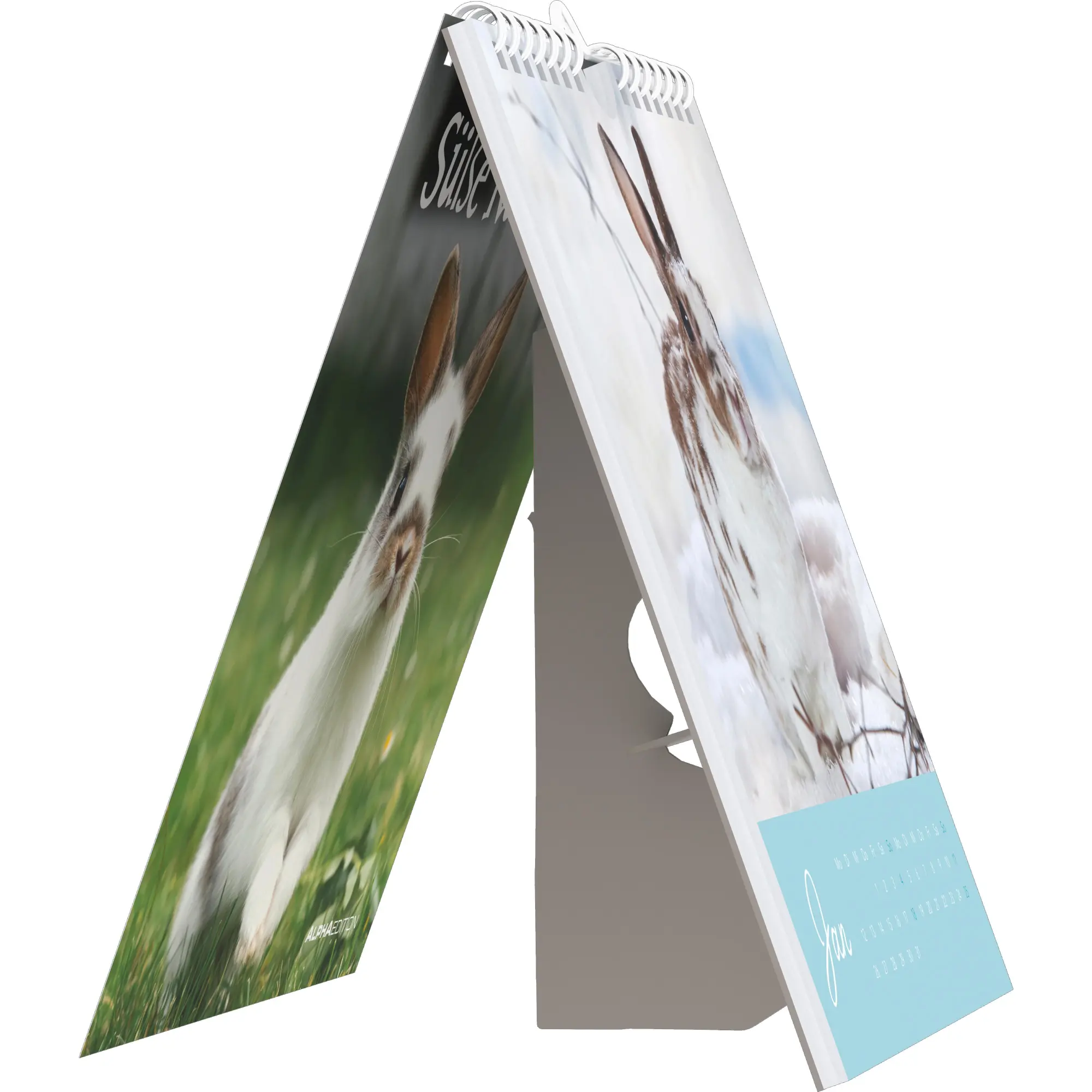Bild: 4069095008656 | Süße Kaninchen 2026 - Postkartenkalender 16x17 cm | Kalender | 26 S.