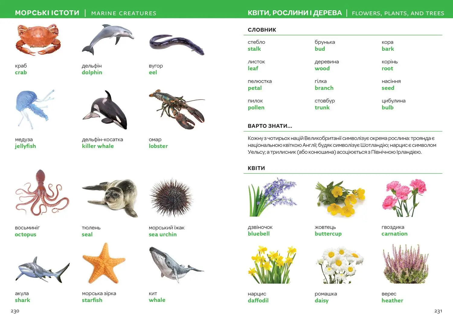 Bild: 9780008588656 | Ukrainian - English Visual Dictionary -...