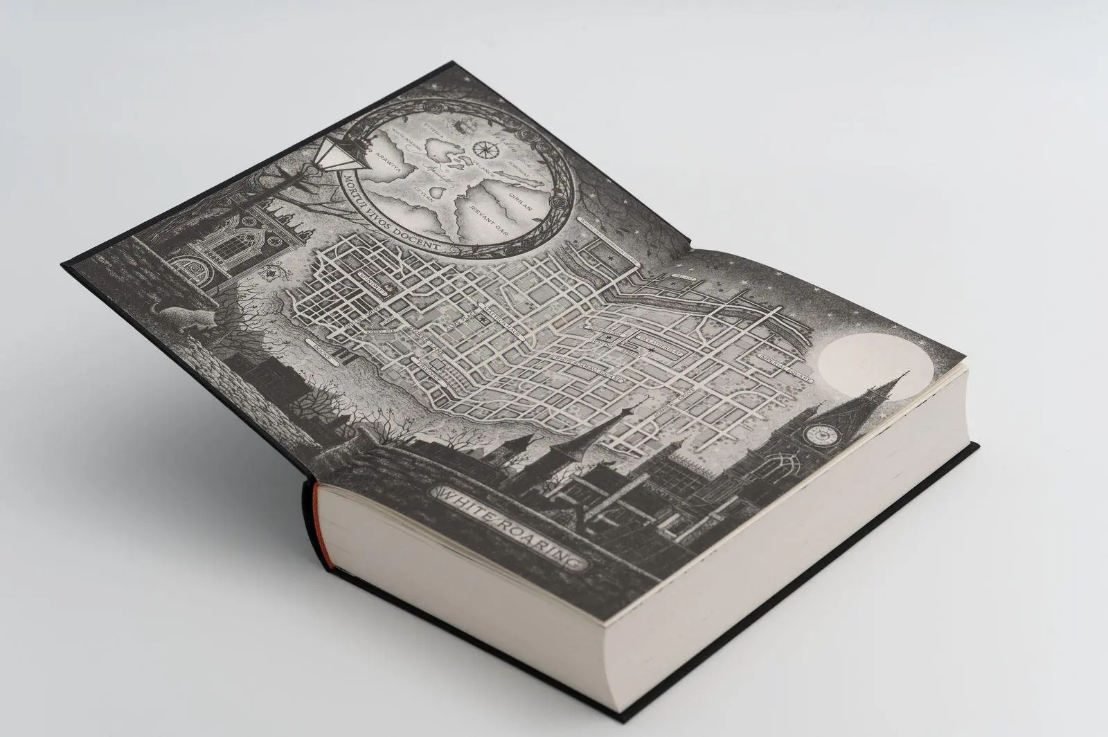 Bild: 9783426448656 | A Steeping of Blood. A Tempest of Tea 2 | Hafsah Faizal | Buch | 2025