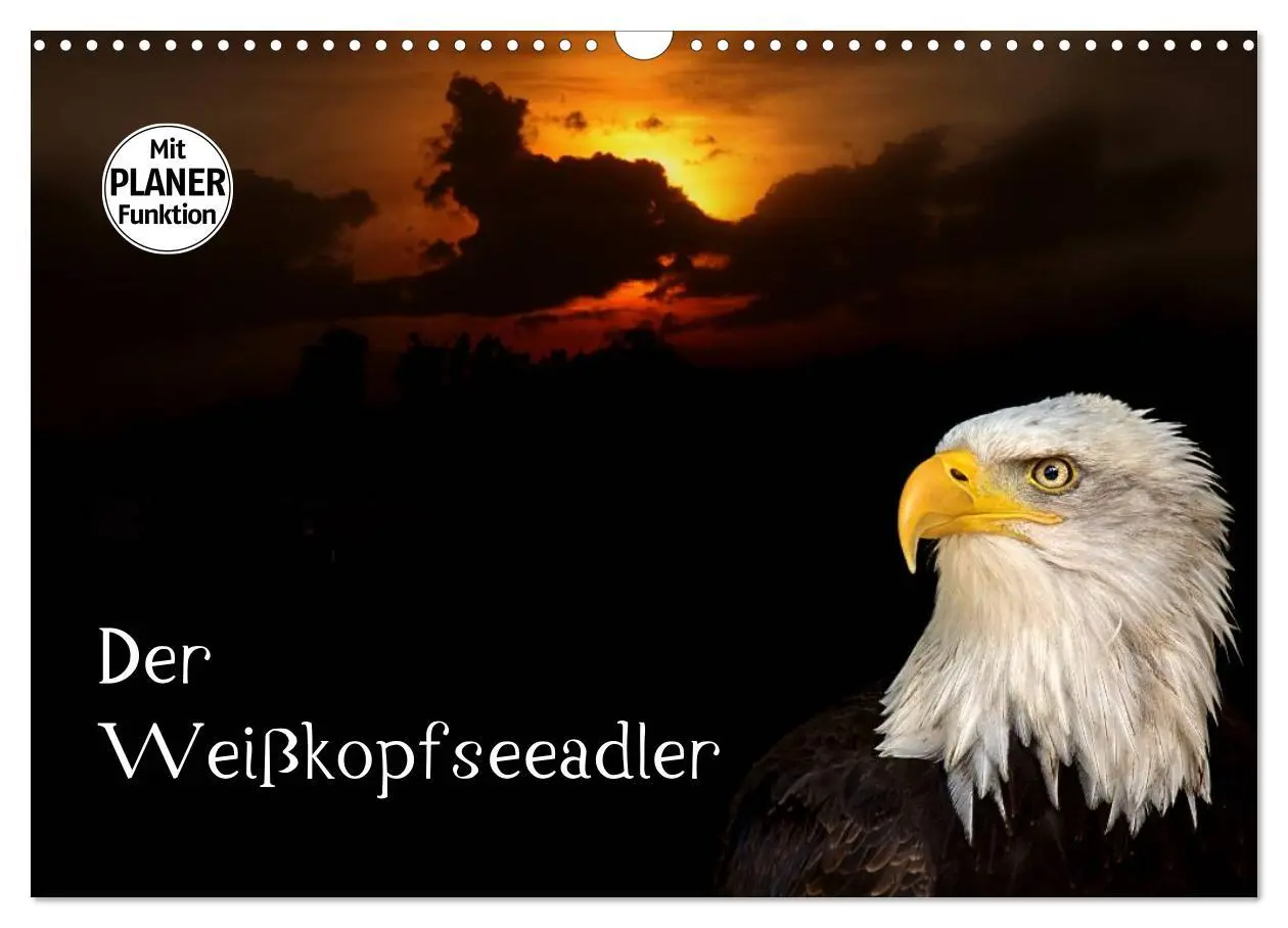 Cover: 9783457998656 | Der Weißkopfseeadler (Wandkalender 2026 DIN A3 quer), CALVENDO...