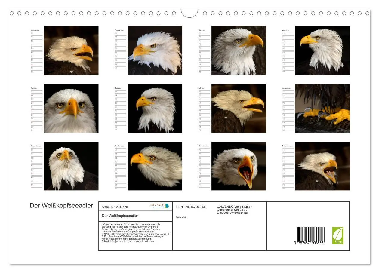 Bild: 9783457998656 | Der Weißkopfseeadler (Wandkalender 2026 DIN A3 quer), CALVENDO...