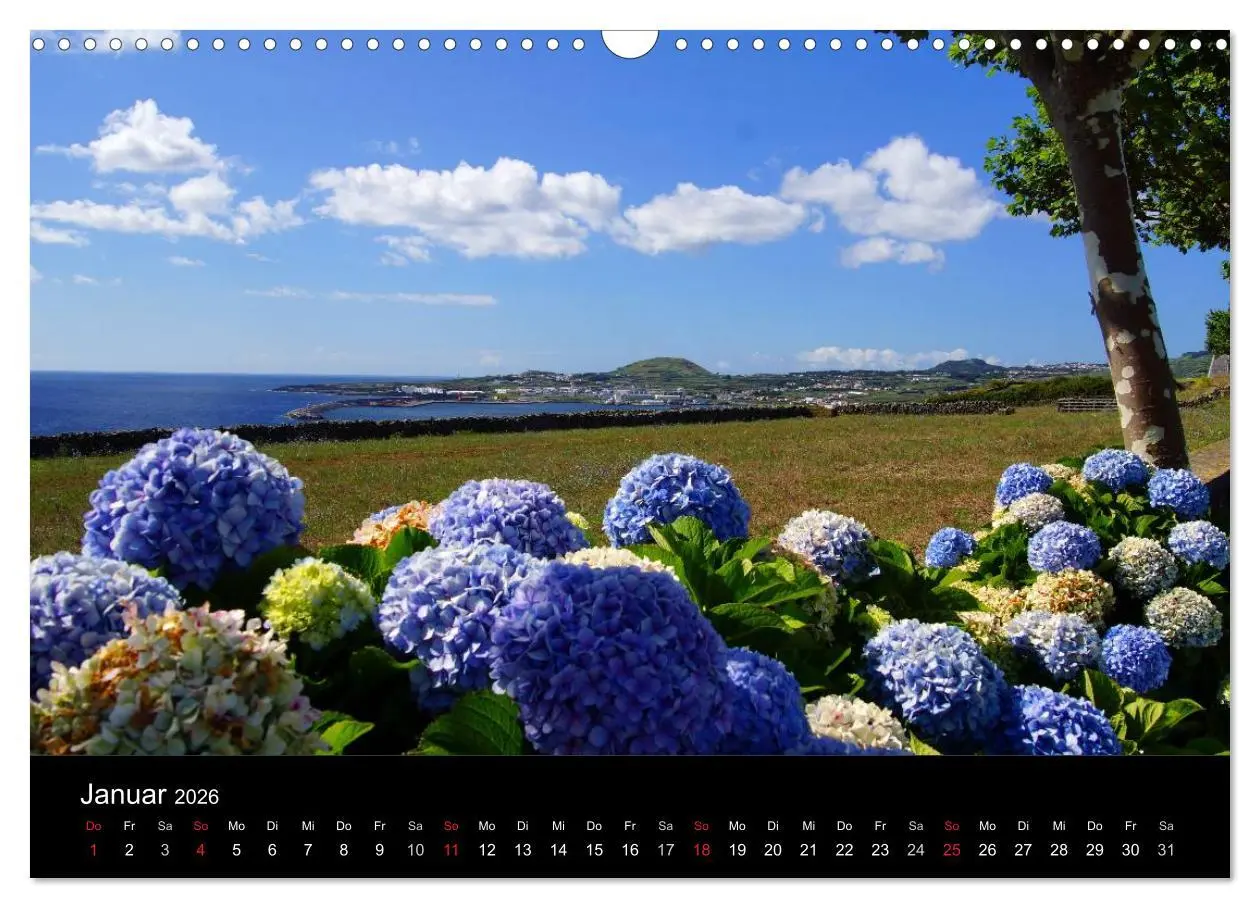 Bild: 9783516088656 | Azoren - Ein Naturerlebnis (Wandkalender 2026 DIN A3 quer),...
