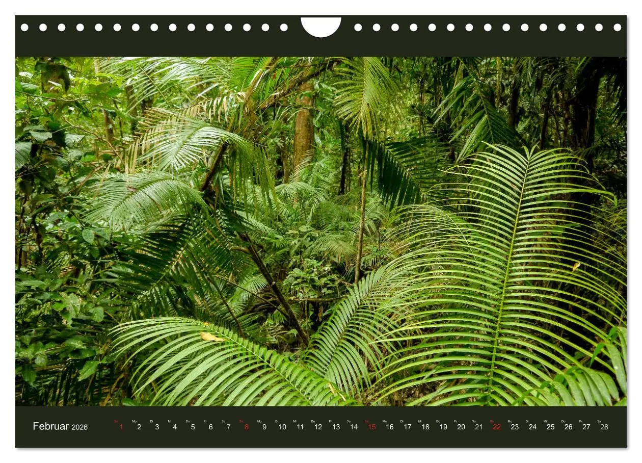 Bild: 9783516228656 | Australien - Farbige Vielfalt (Wandkalender 2026 DIN A4 quer),...