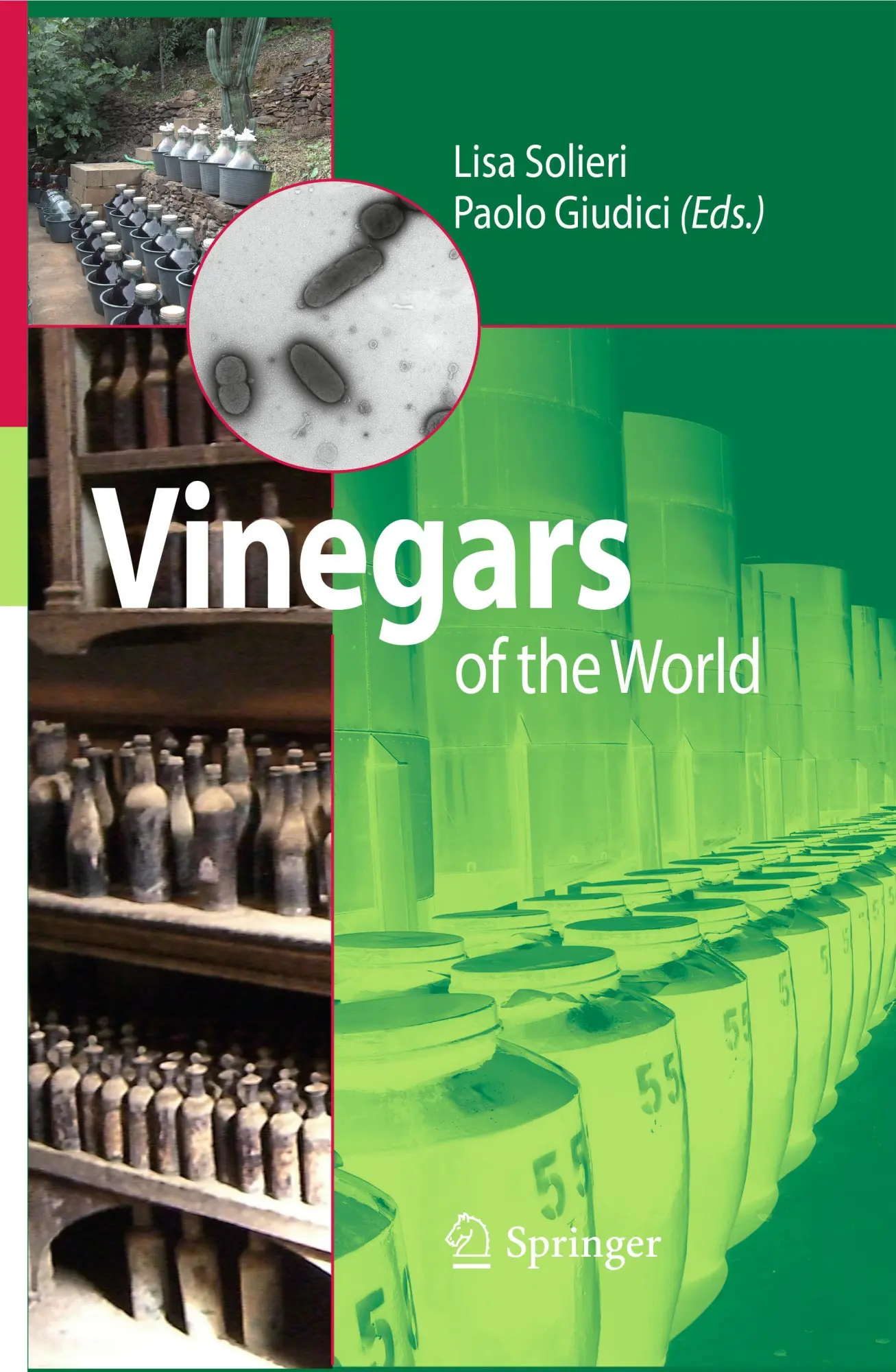 Cover: 9788847008656 | Vinegars of the World | Laura Solieri (u. a.) | Taschenbuch | xx