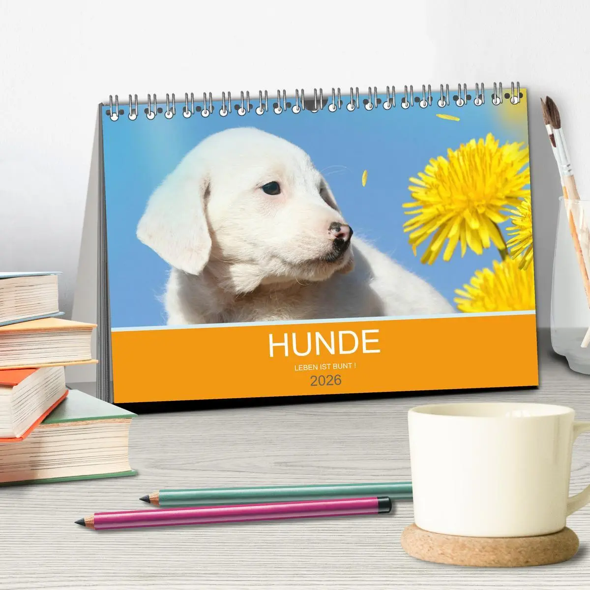 Bild: 9783457818756 | HUNDE LEBEN IST BUNT (Tischkalender 2026 DIN A5 quer), CALVENDO...