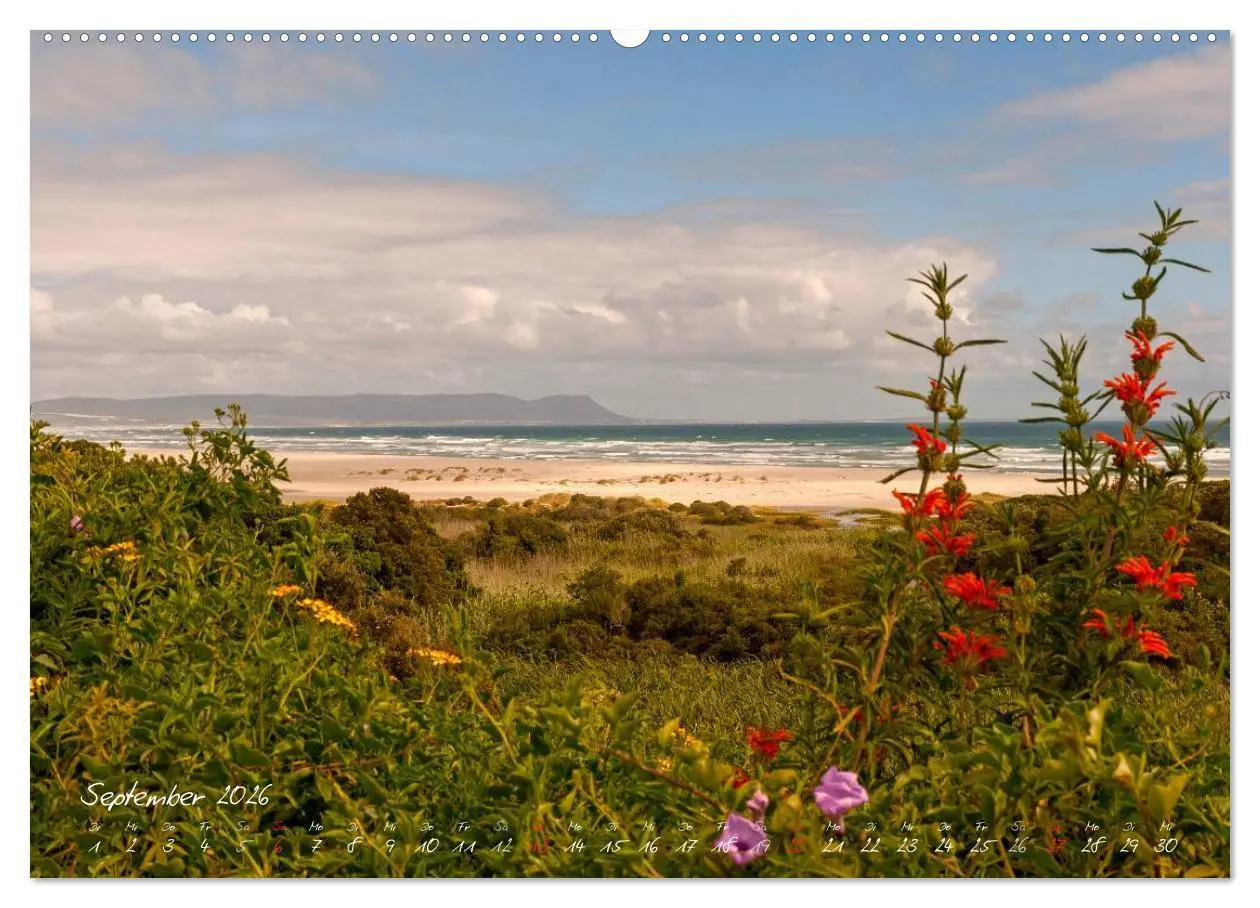 Bild: 9783516218756 | Am Kap von Südafrika (Wandkalender 2026 DIN A2 quer), CALVENDO...