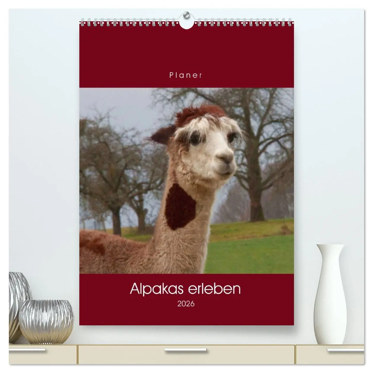 Cover: 9783516388756 | Alpakas erleben (hochwertiger Premium Wandkalender 2026 DIN A2...