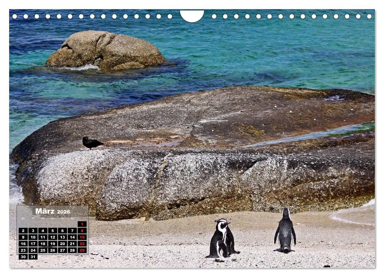 Bild: 9783516068856 | SÜDAFRIKA - Landschaften der Extreme (Wandkalender 2026 DIN A4...