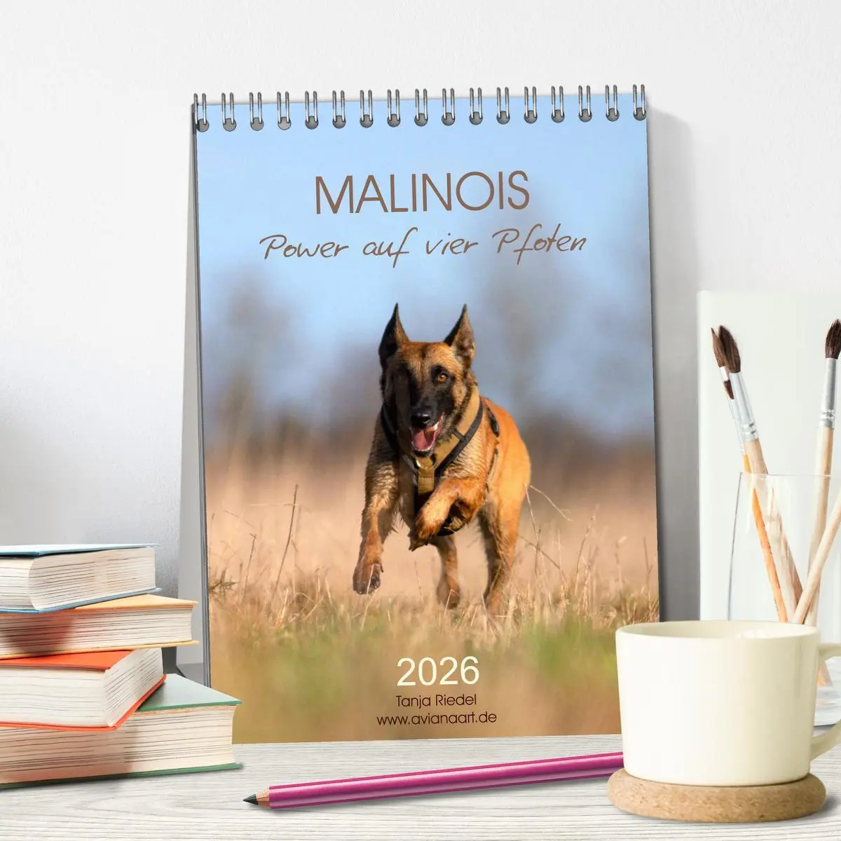Bild: 9783516378856 | Malinois Power auf vier Pfoten (Tischkalender 2026 DIN A5 hoch),...