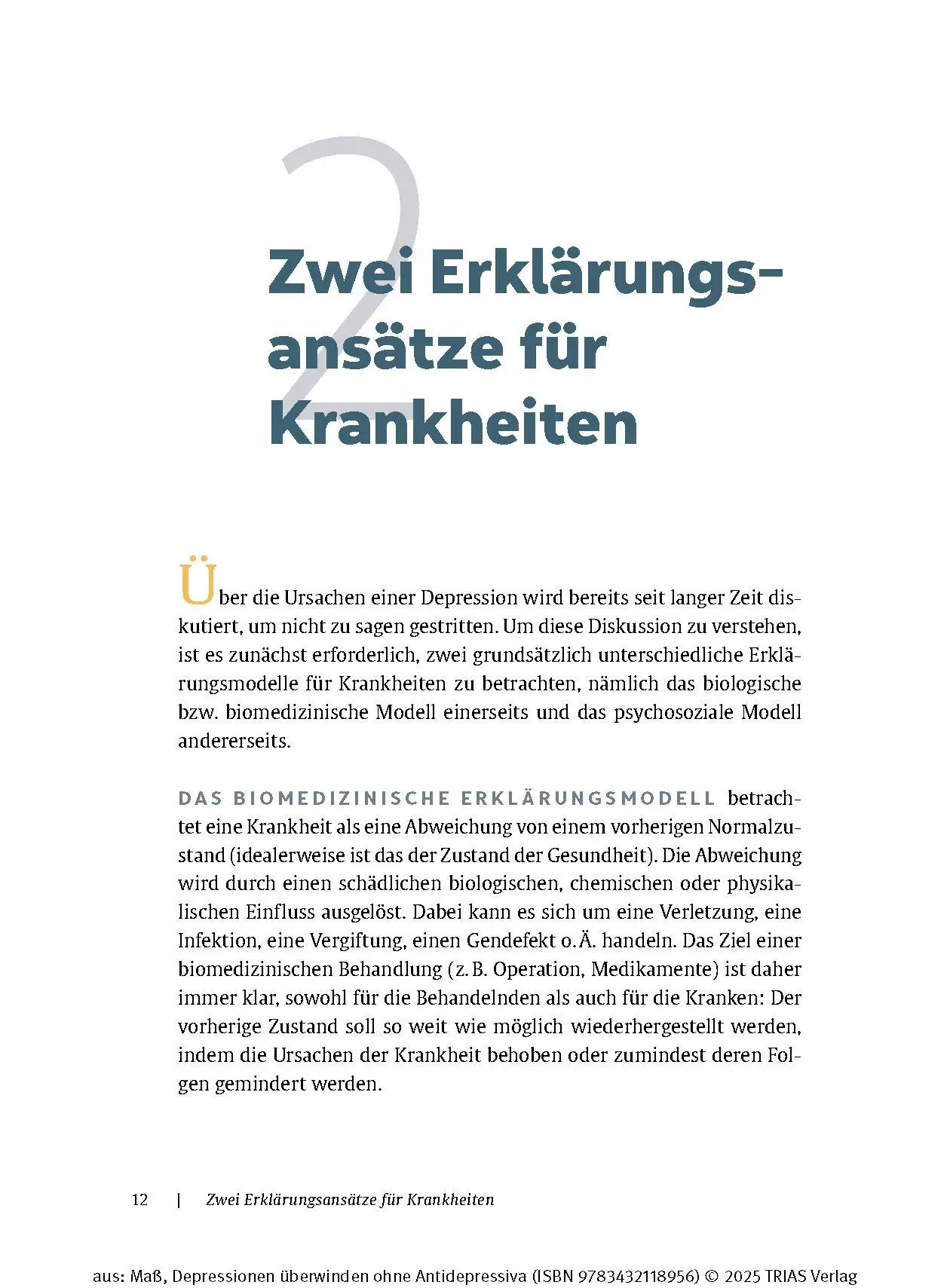 Bild: 9783432118956 | Depressionen überwinden ohne Antidepressiva | Reinhard Maß | Buch