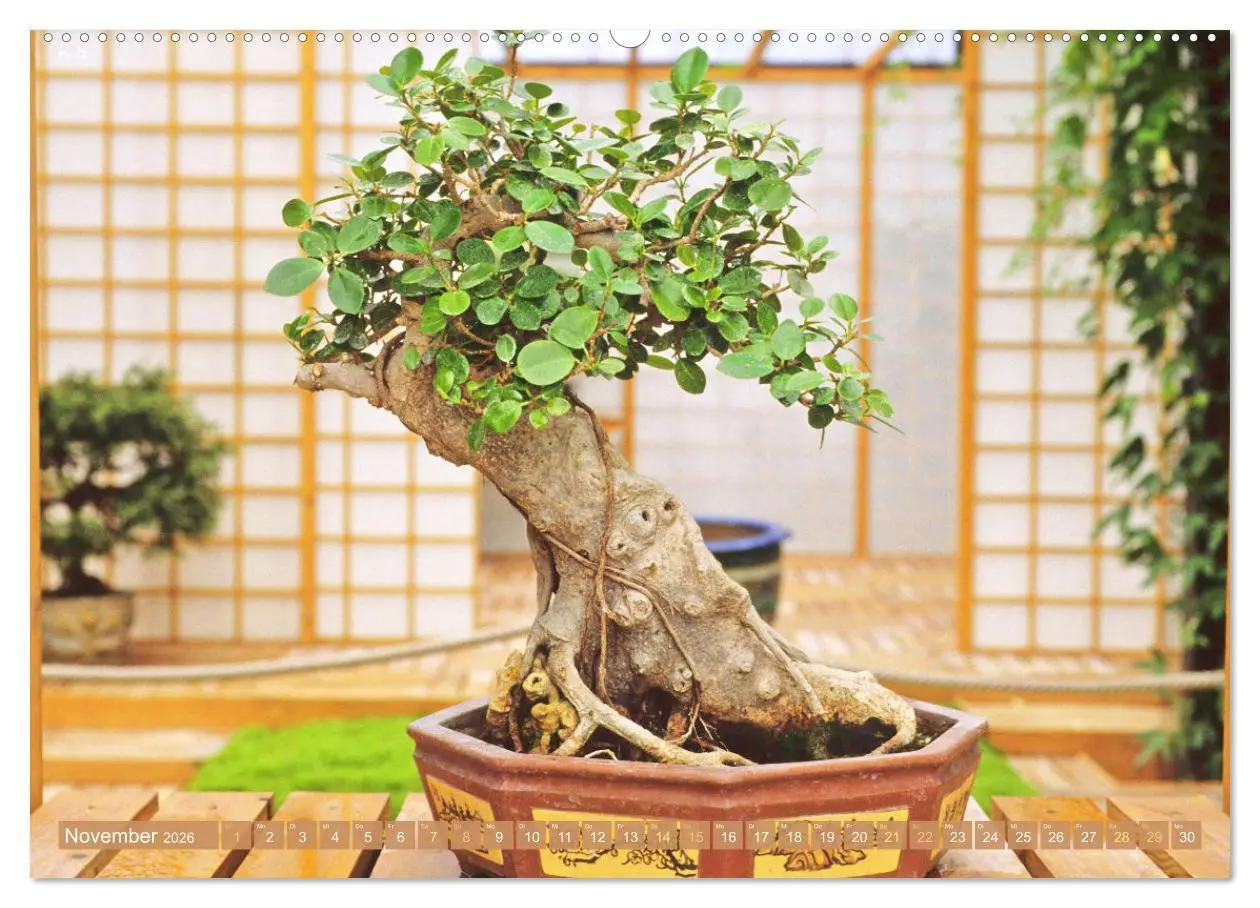 Bild: 9783457348956 | Gartenkunst aus Japan: Bonsai (hochwertiger Premium Wandkalender...