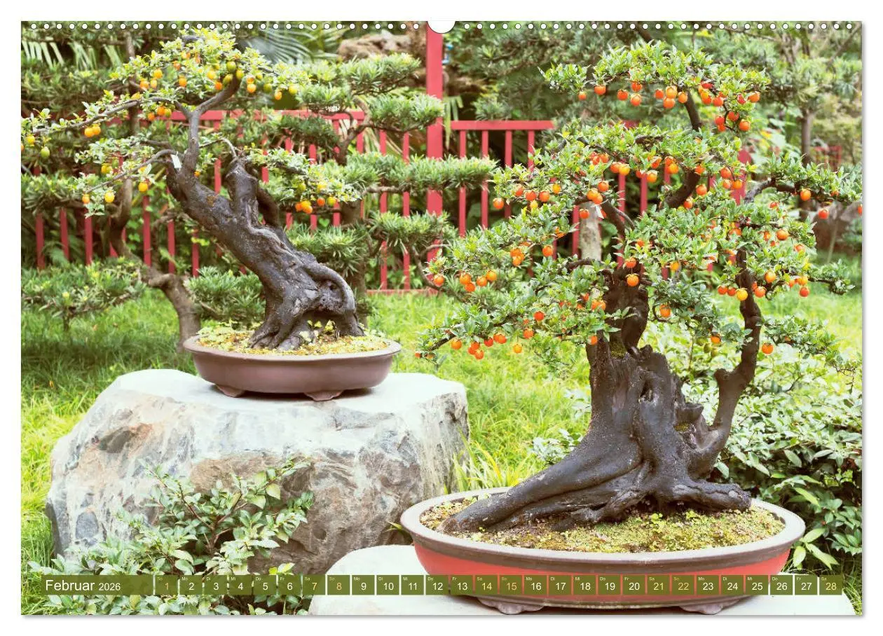 Bild: 9783457348956 | Gartenkunst aus Japan: Bonsai (hochwertiger Premium Wandkalender...