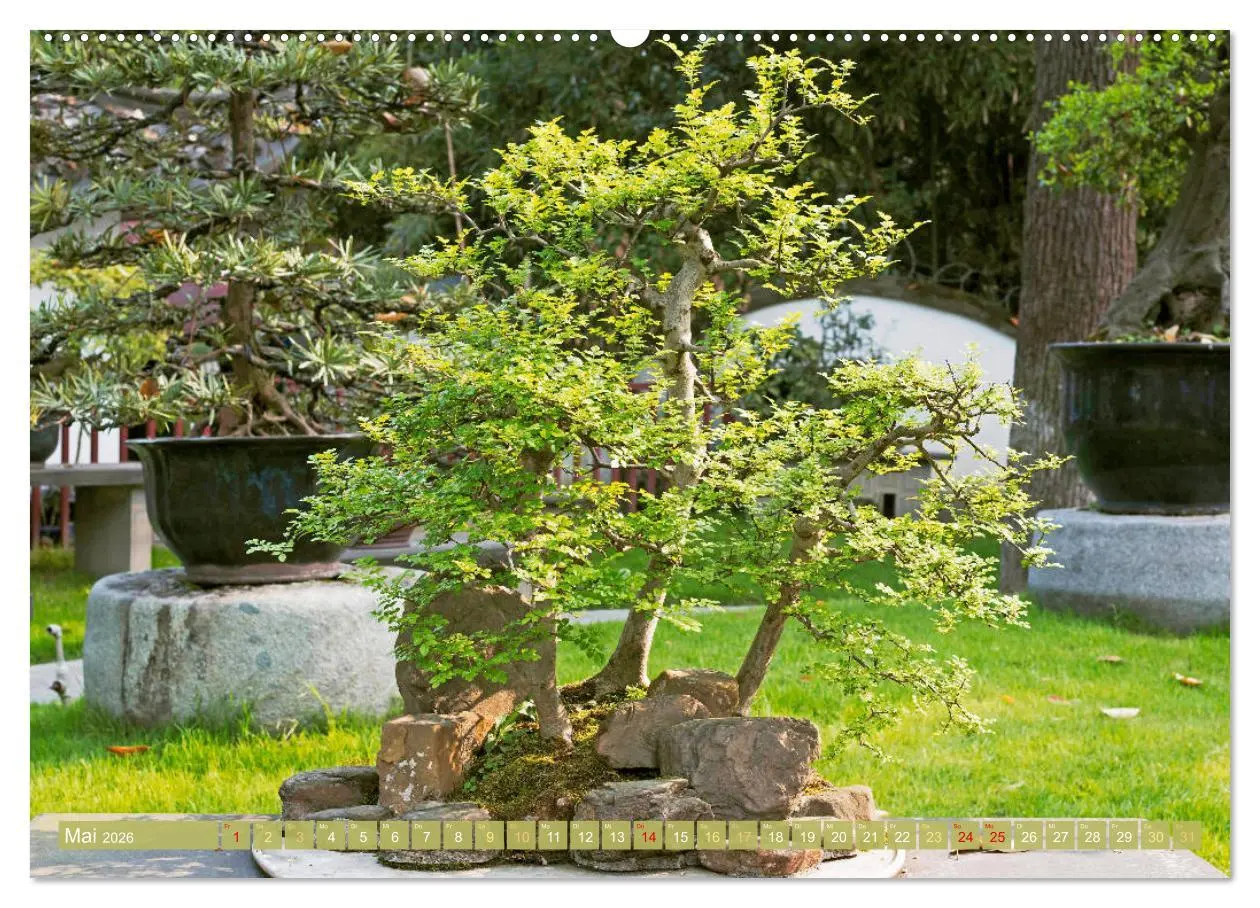 Bild: 9783457348956 | Gartenkunst aus Japan: Bonsai (hochwertiger Premium Wandkalender...