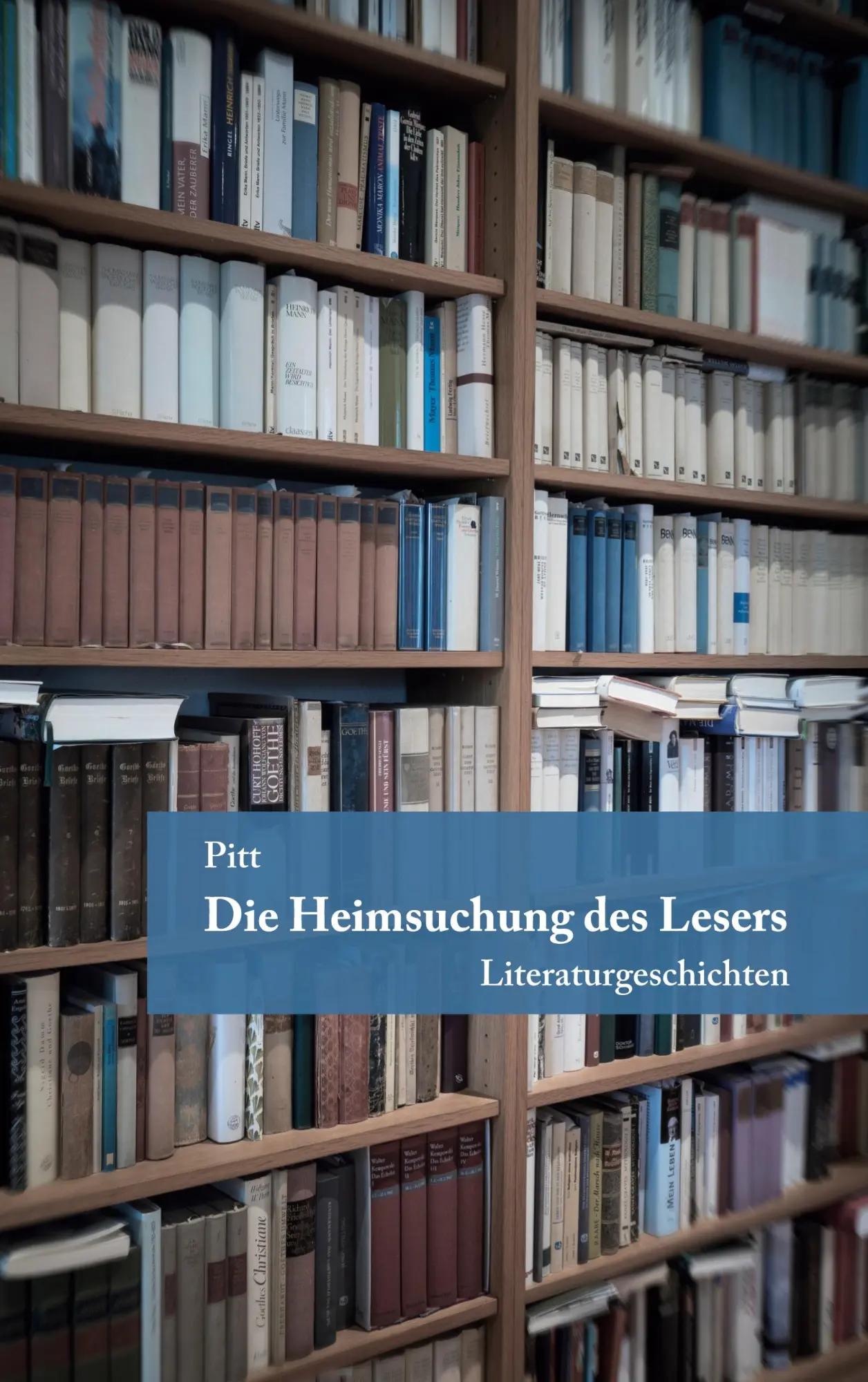 Cover: 9783751998956 | Die Heimsuchung des Lesers | Literaturgeschichten | Pitt | Taschenbuch