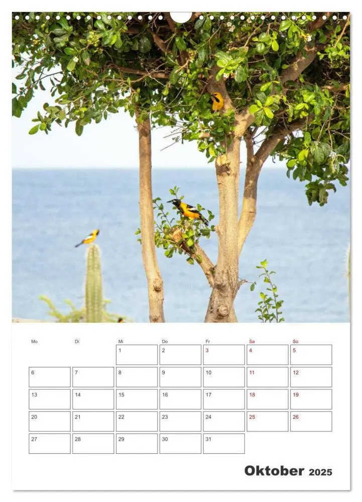 Bild: 9783435909056 | Curacao - Terminplaner (Wandkalender 2025 DIN A3 hoch), CALVENDO...