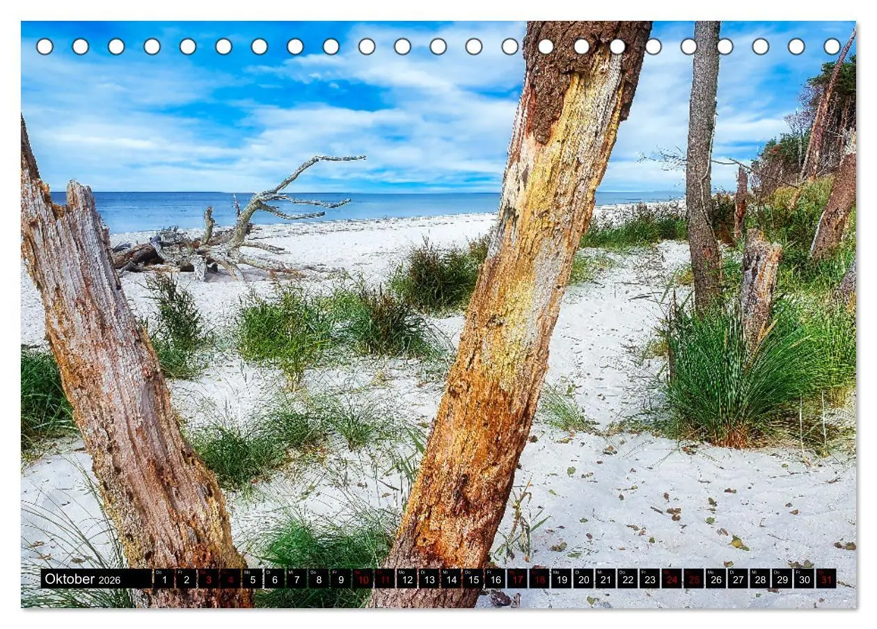 Bild: 9783457619056 | Fischland - Darß- Zingst (Tischkalender 2026 DIN A5 quer), CALVENDO...